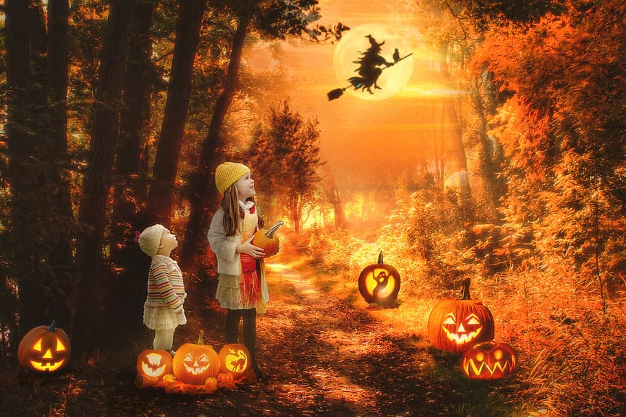 halloween scene spooky witch haunted forest jack o lanterns