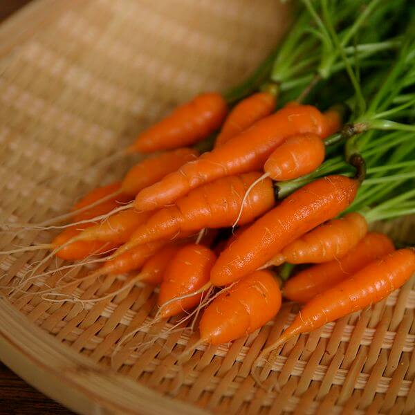600px Baby Carrots 2
