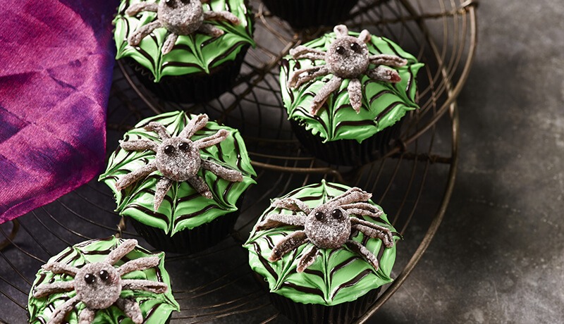 spider cupcakes card